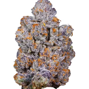 Fleur de THCa Premium Biscotti Acheter